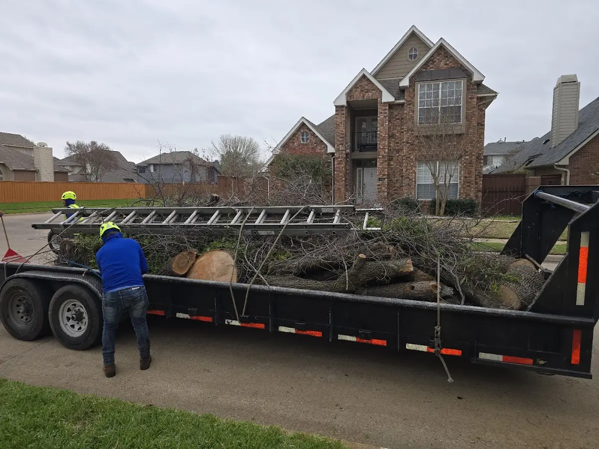 Expert Tree Pest Control with proper safety equipment in Tylerton